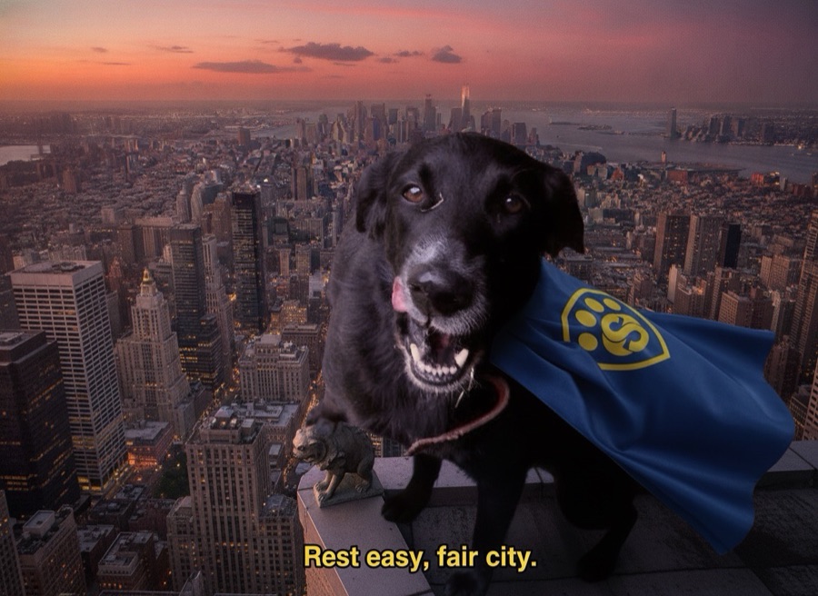 A real dog as a caped superhero on a city rooftop