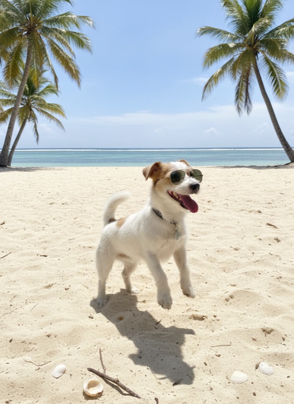 beach