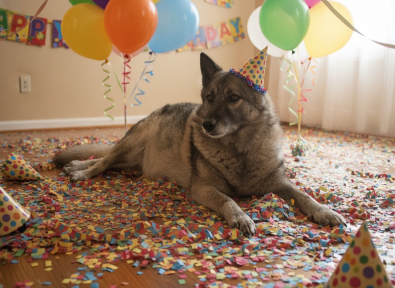birthday