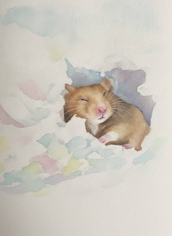 hamster watercolour
