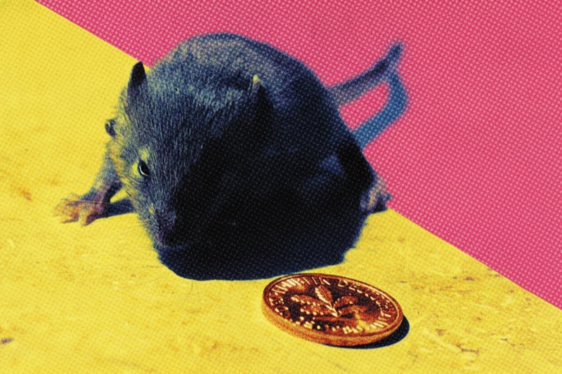 mouse pop art